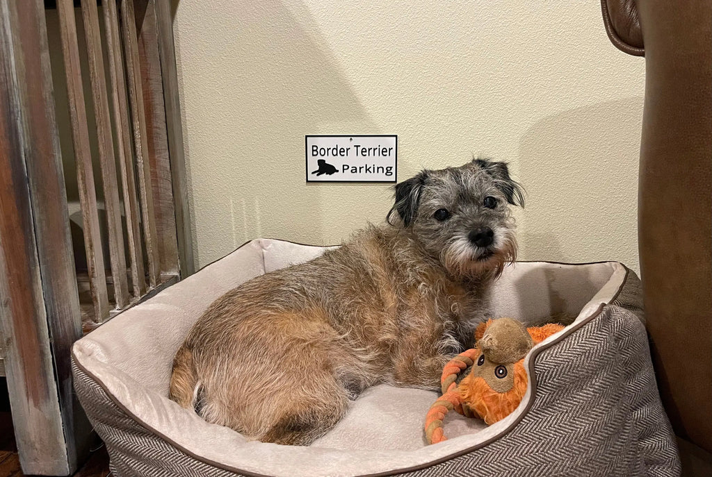 Border Terrier Parking Sign, 3D Printed Dog Lover Gift Hot Fabs LLC