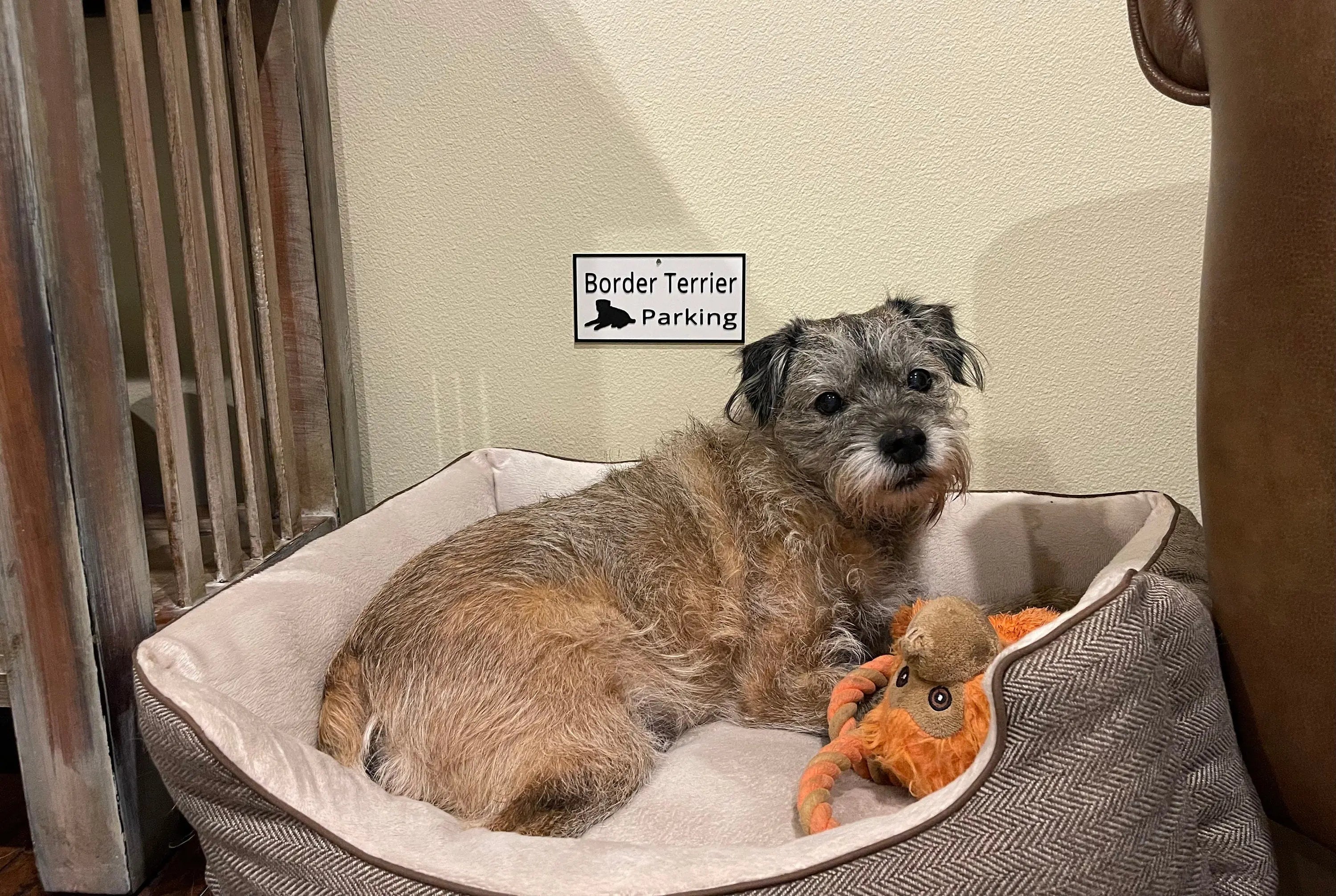 Border Terrier Parking Sign, 3D Printed Dog Lover Gift Hot Fabs LLC